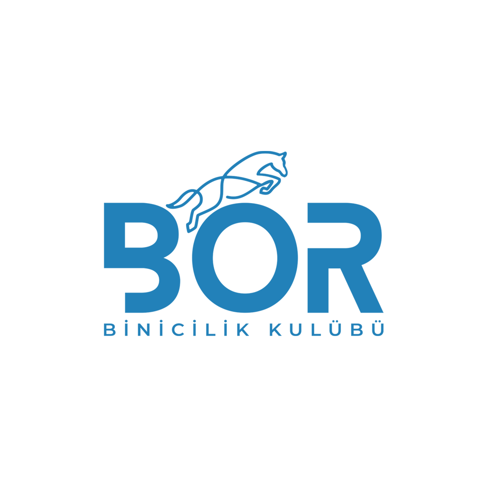 Bor Binicilik